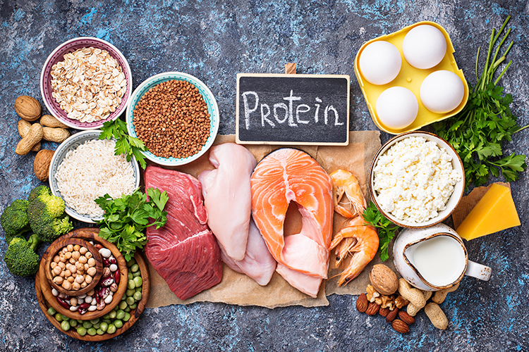 top 10 protein foods