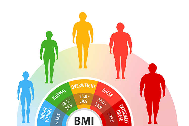 weight chart