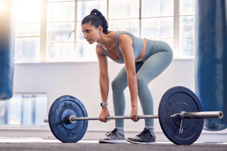 best 5 day workout split