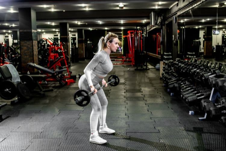beginners workout plan for women