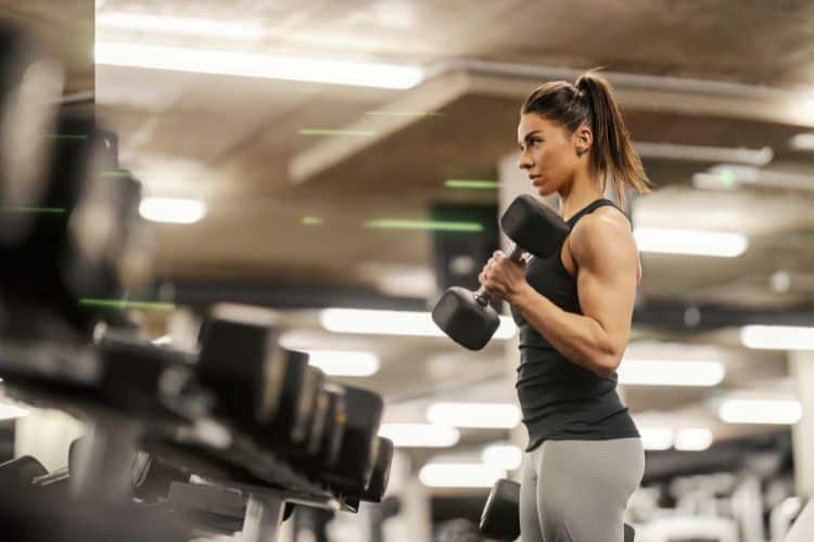 full body circuit gym workout