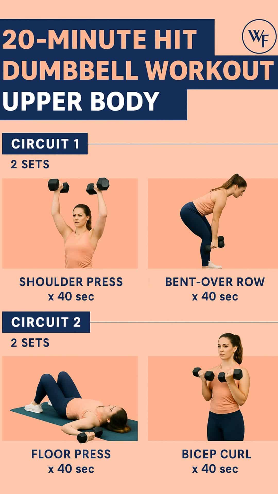 Infographic: Flowchart of a 20-Minute HIIT Dumbbell Upper Body Workout. It consists of a 3-minute warm-up, three 5-minute circuits targeting chest, back, and shoulders, and a 2-minute cool-down.